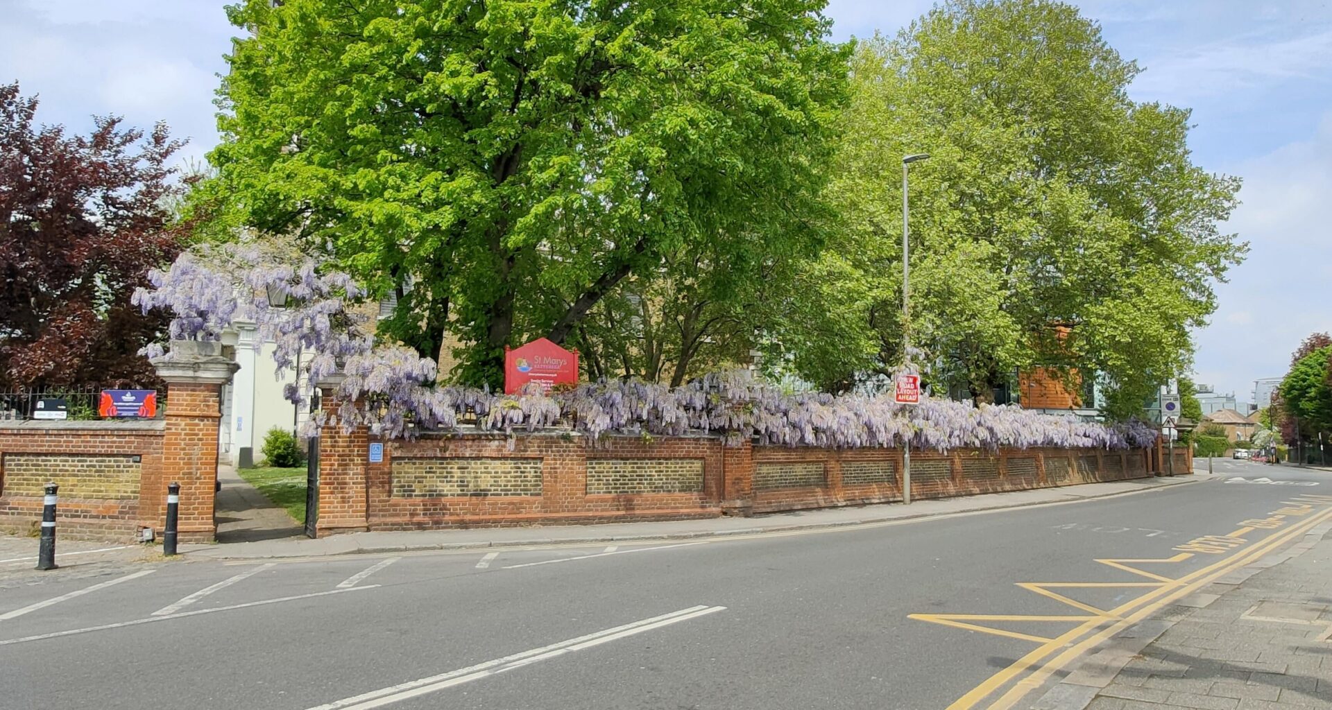 Super long Wisteria along St. Mary's church next to the river at Battersea 😊