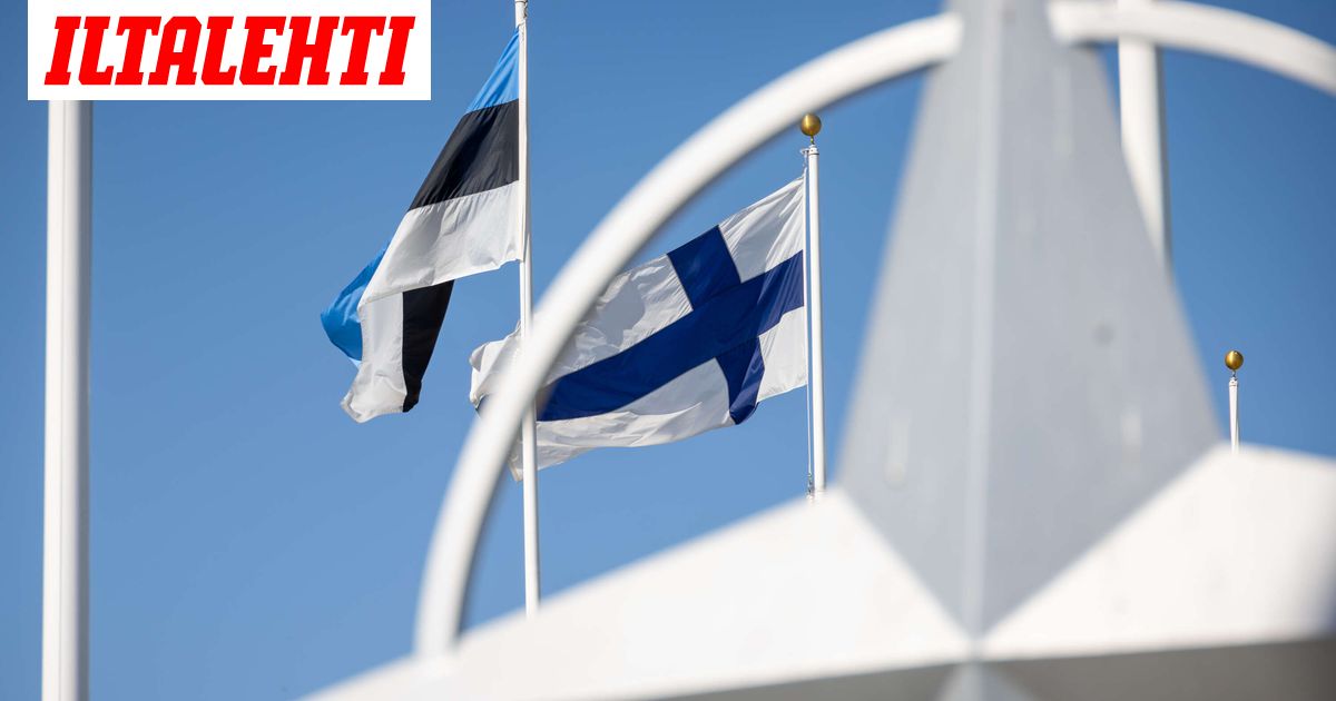 Suomi tarvitsee uuden ulkopolitiikan peruskallion – Perustuen näihin neljään asiaan
