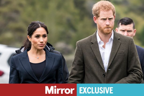 Meghan Markle and Prince Harry are set to be the focus of a new book