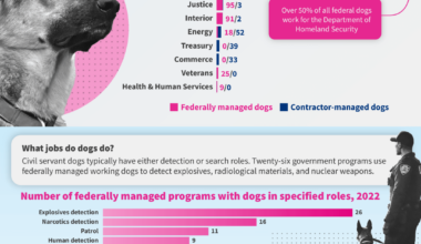 How many dogs work for the US government? [OC]