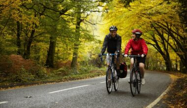 UK Drivers Still Misunderstand Rules on Cyclists