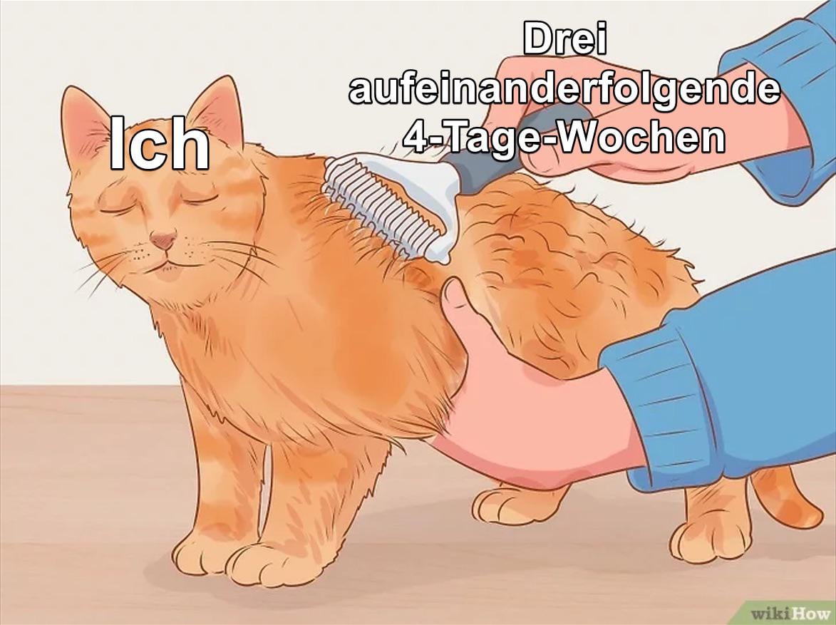 Wenn die Welt plötzlich mal ein bisschen weniger doof ist