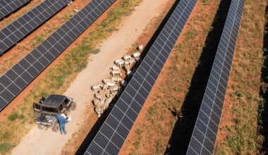 New regulations for renewable energy possible in Texas