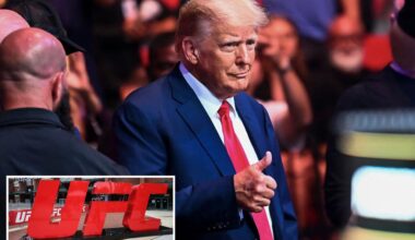 Trump to attend UFC fights in Florida with star-studded cast — including Elon Musk