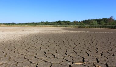If almost all the world wants climate action, why is it slowing down?