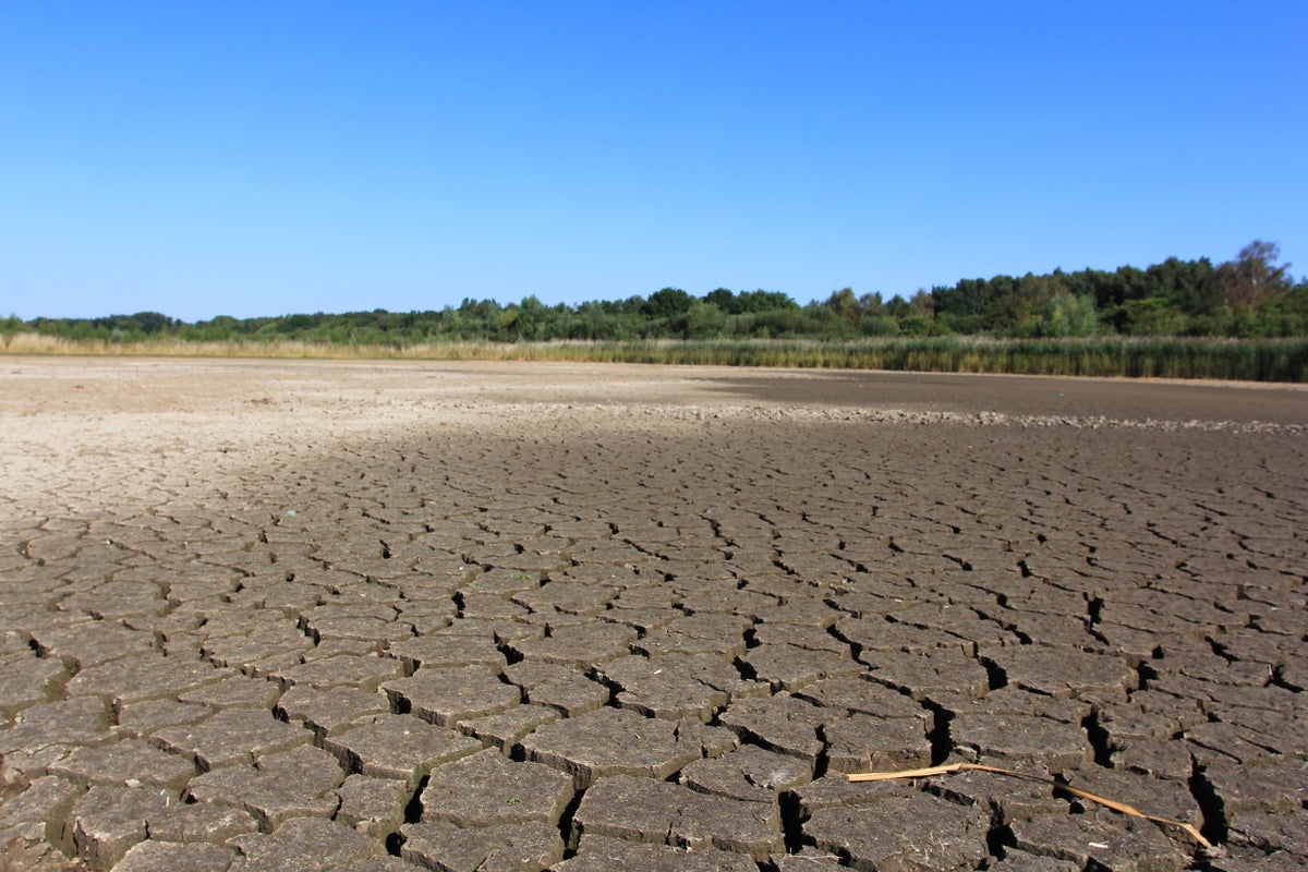If almost all the world wants climate action, why is it slowing down?