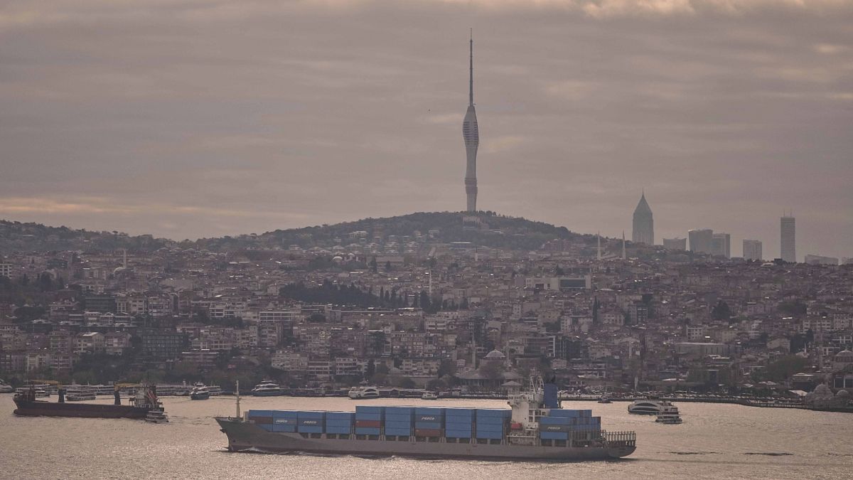 Turkey sees opportunity as Trump's tariffs upset global trading order