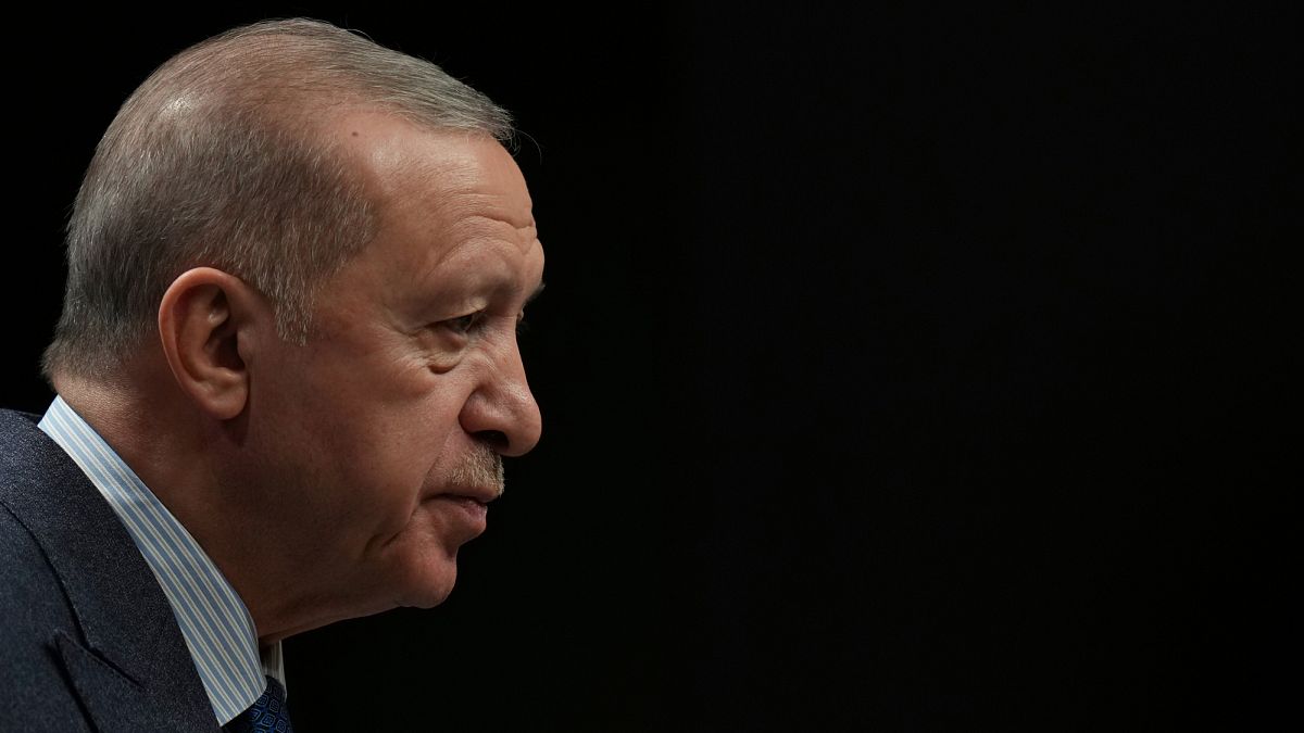 Erdoğan positions Turkey as point of stability for European security and Syria