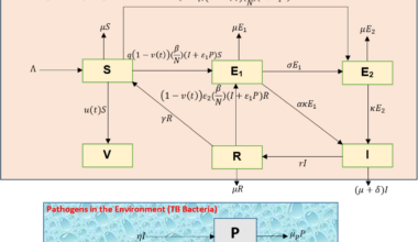 SEIRS model for TB transmission dynamics incorporating the environment and optimal control | BMC Infectious Diseases