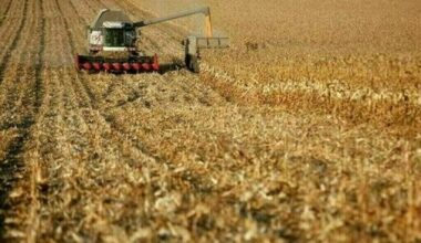 Pakistan to benefit from agri expertise of Belarus: PM