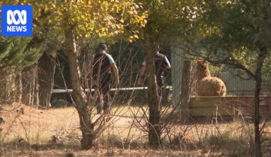 Two charged after boy killed in accidental shooting on rural NSW property
