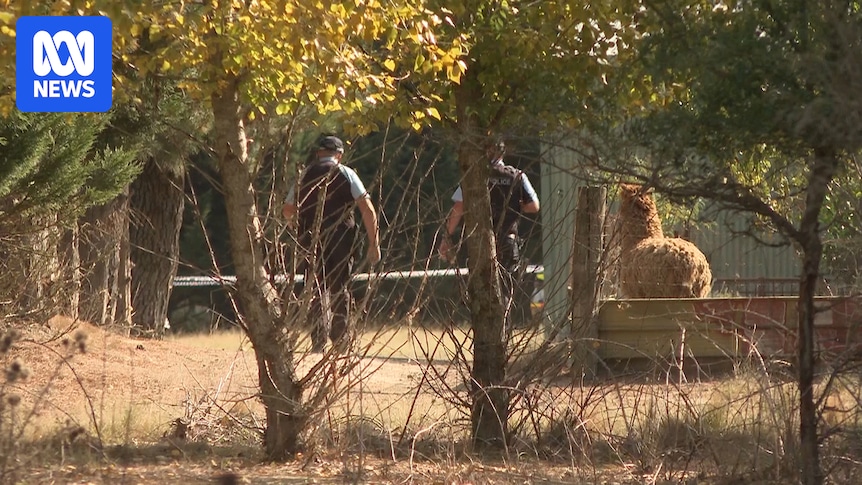 Two charged after boy killed in accidental shooting on rural NSW property