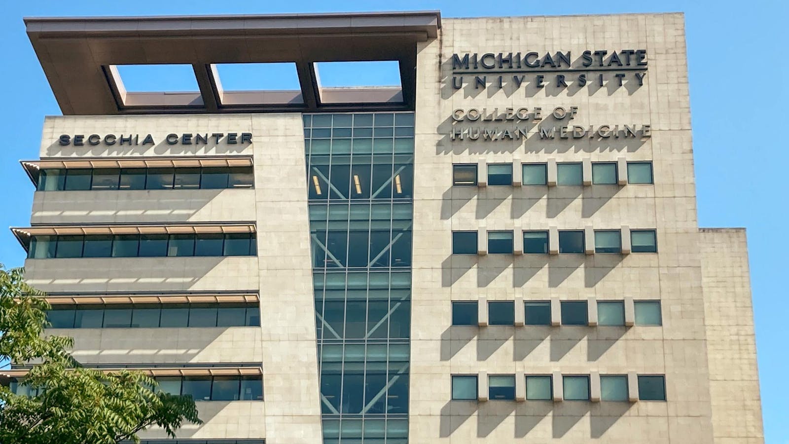 MSU establishes council to consider college merger, new College of Health Professions