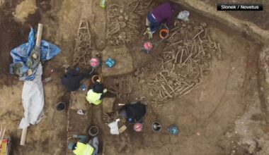 Mass grave for fighters in Roman Empire-era battle is revealed in Vienna, Austria