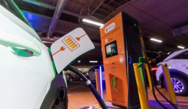 JOHANNES KASS ⟩ Kulud peab kandma elektriauto omanik