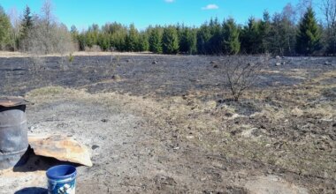 Päästjatel on sel nädalal looduses kõvasti kustutamist - Põhjarannik