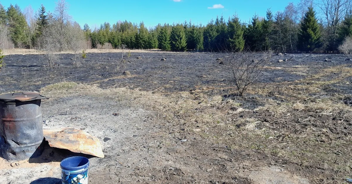 Päästjatel on sel nädalal looduses kõvasti kustutamist - Põhjarannik
