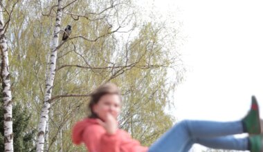 Anne kanali ääres toimetab taas kuri vares