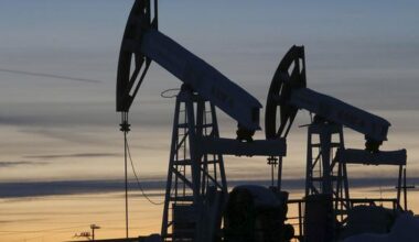 United States sanctions Indian citizen, entities for allegedly transporting Iranian petroleum