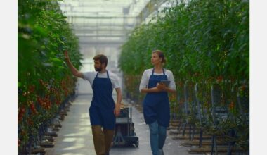 Luxembourg aiming to make vegetable farming more attractive
