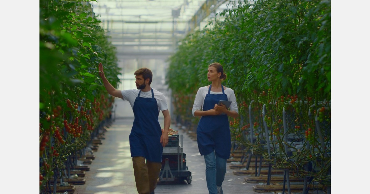 Luxembourg aiming to make vegetable farming more attractive
