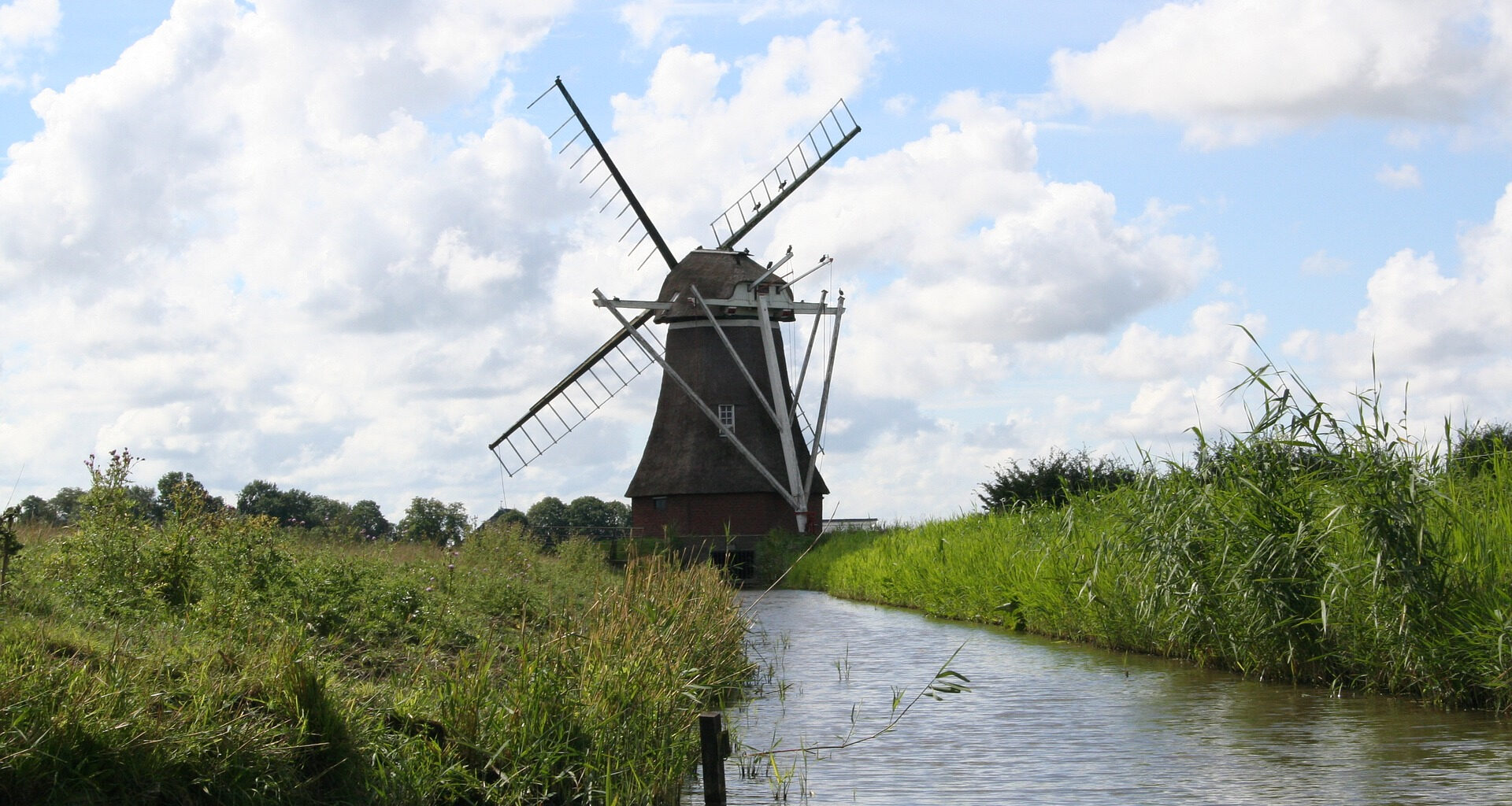 'Biodiversiteitsplan Nederland komt internationale afspraken niet na' - Vroege Vogels