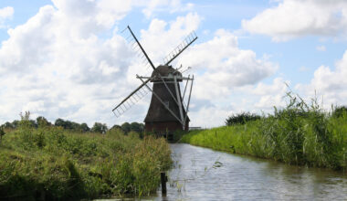 'Biodiversiteitsplan Nederland komt internationale afspraken niet na' - Vroege Vogels