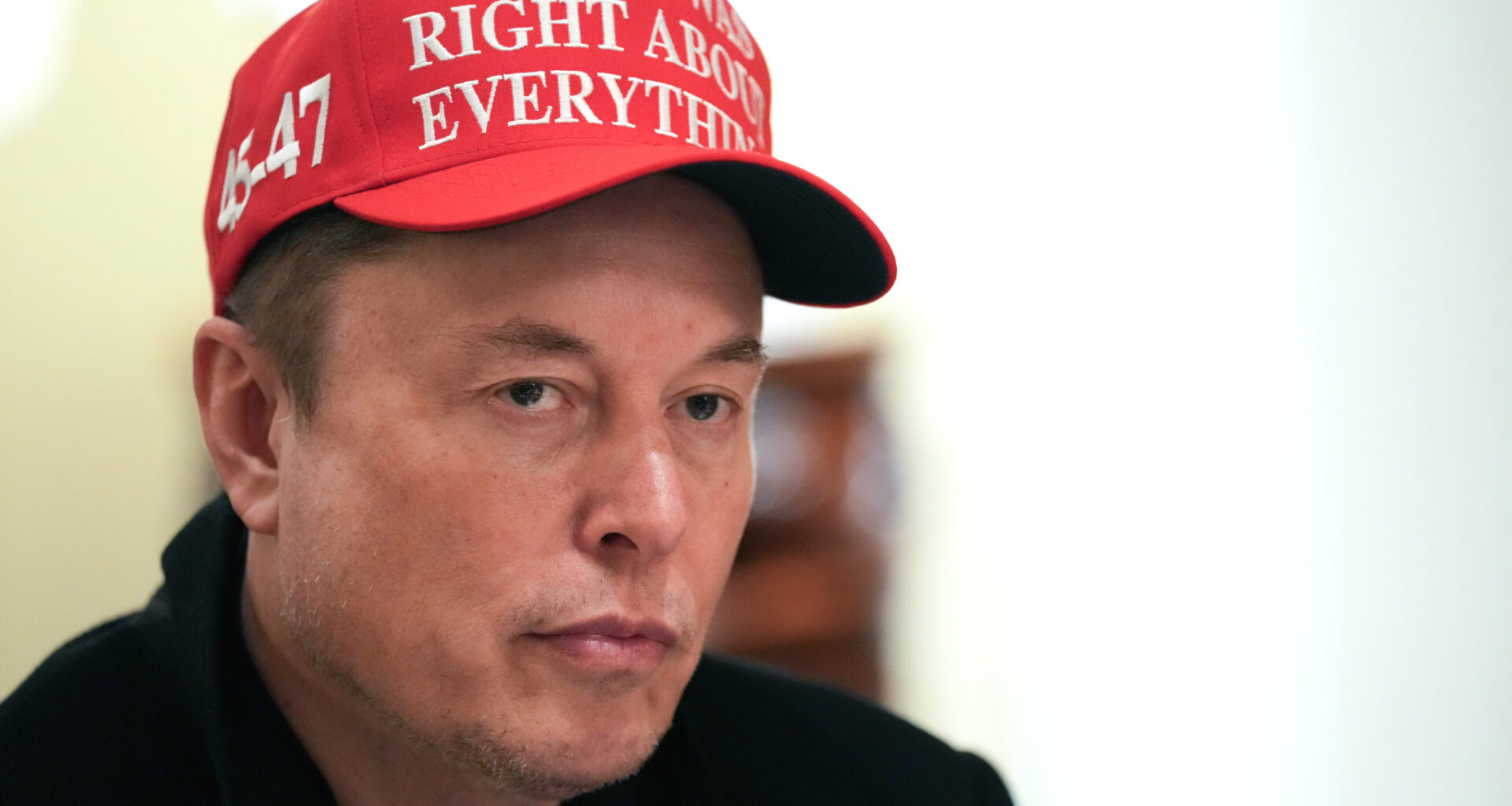 DOGE Elon Musk