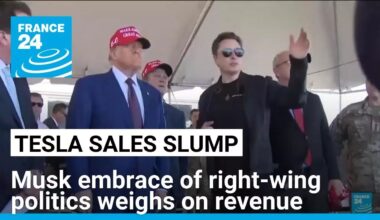 Tesla sales slump as pressure piles on Musk • FRANCE 24 English