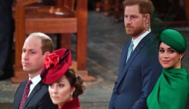 Expert Reveals Harry’s Cold Remark About William and Kate During Last Event With Meghan