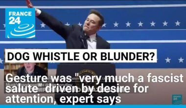 Musk's gesture "very much a fascist salute" driven by attention-grabbing, expert says • FRANCE 24