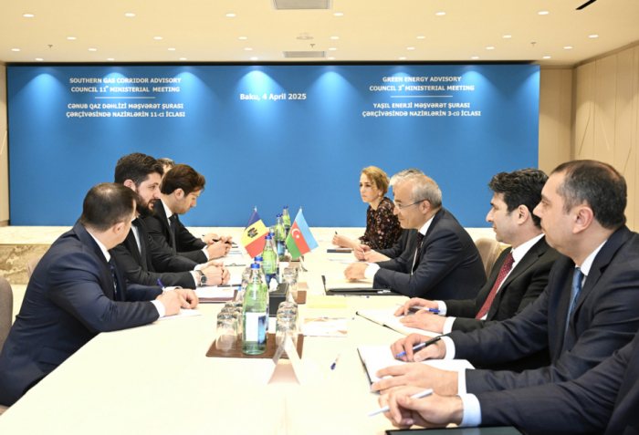 Azerbaijan and Moldova discuss partnership in renewable energy