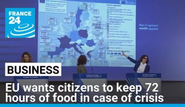 EU wants citizens to stockpile supplies to last three days in case of crisis • FRANCE 24 English