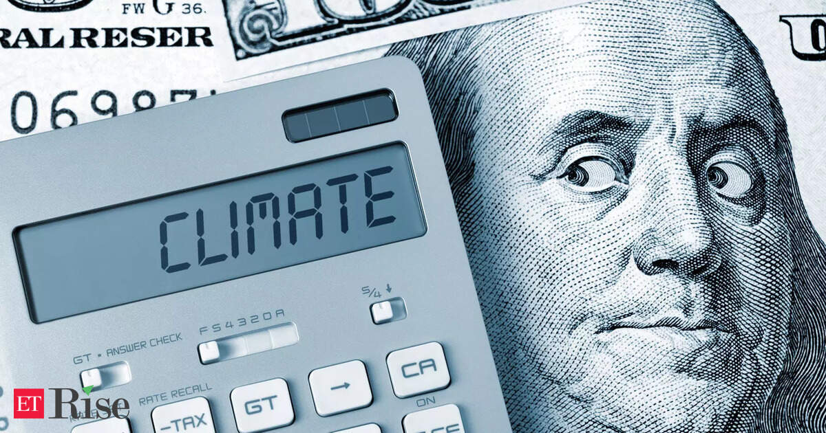 Developing countries' climate targets at risk without enough finance from developed world: India