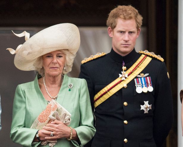 Cailla with stepson Prince Harry