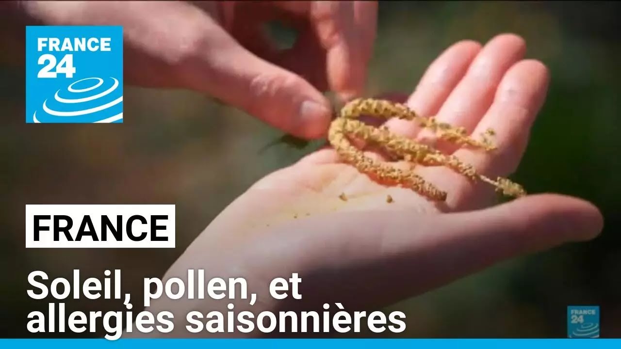 Retour du soleil, mais aussi du pollen et des allergies saisonnières... • FRANCE 24