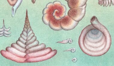 Parenting Lessons From One of Earth’s Tiniest Creatures