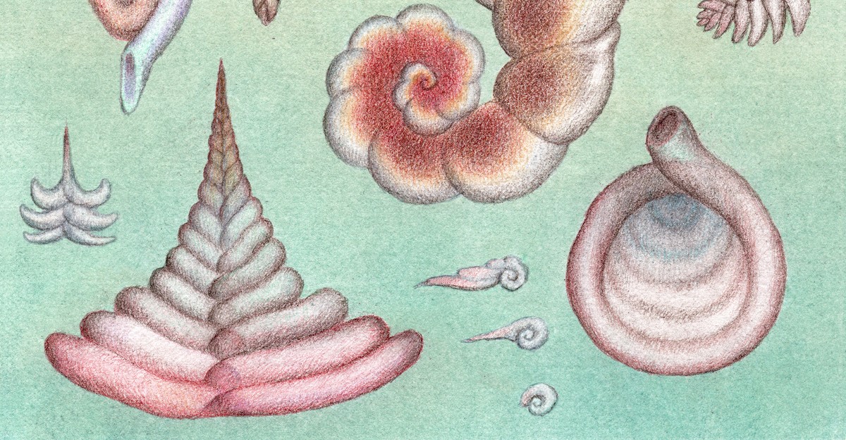 Parenting Lessons From One of Earth’s Tiniest Creatures