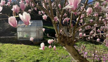 Suchbild zum Sonntagmorgen