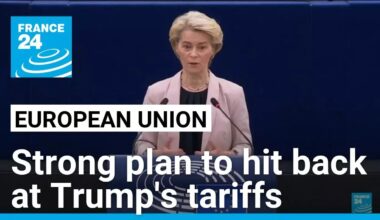 European Union prepares ‘strong plan’ to hit back at Trump’s tariffs • FRANCE 24 English