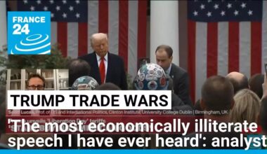 'The most economically illiterate speech I have ever heard', analyst says • FRANCE 24 English
