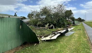 Tornado downs trees, damages roofs in Levin as wild weather hits