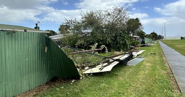 Tornado downs trees, damages roofs in Levin as wild weather hits