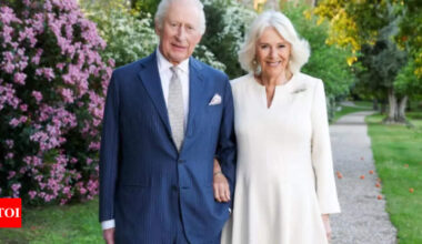 20 years of King Charles-Camilla's marriage: When Prince Harry, William begged their father not to marry her after Princess Diana's tragic death