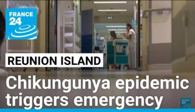 Reunion Island launches emergency health plan amid chikungunya epidemic • FRANCE 24 English