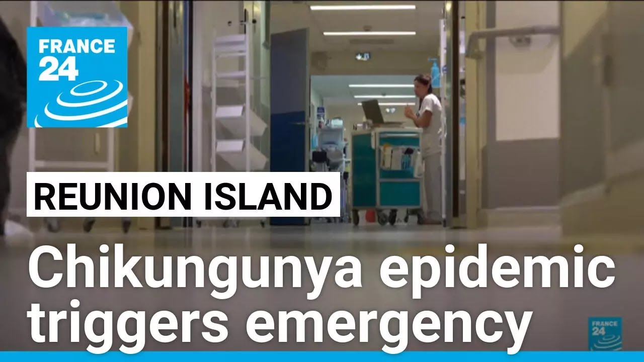 Reunion Island launches emergency health plan amid chikungunya epidemic • FRANCE 24 English