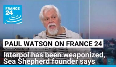 Interpol has been weaponized, Sea Shepherd founder Paul Watson says • FRANCE 24 English