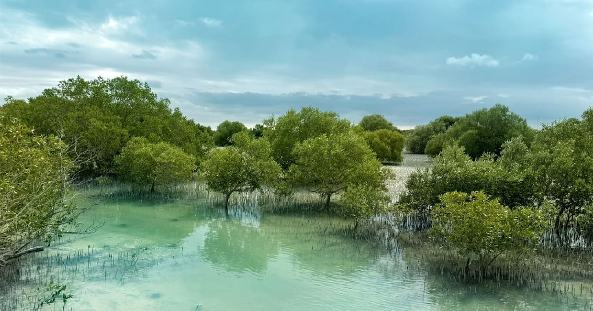 UAE to address critical environmental challenges at IUCN World Conservation Congress 2025