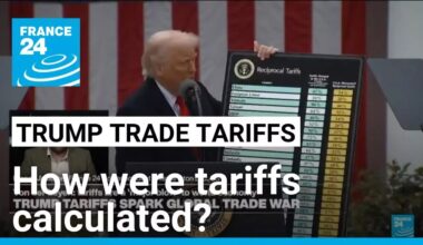 ‘Economists have been flabbergasted’ at how White House calculated tariffs • FRANCE 24 English