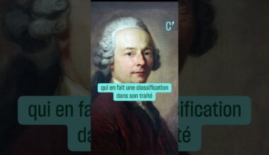 Pourquoi les Beaux-Arts s'appellent les Beaux-Arts ? • FRANCE 24